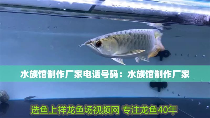 水族館制作廠家電話號碼：水族館制作廠家