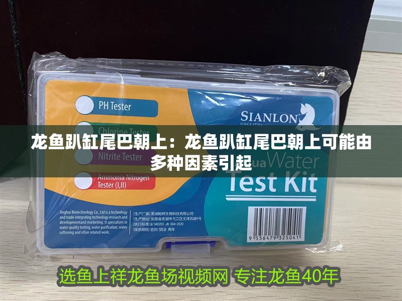龍魚趴缸尾巴朝上：龍魚趴缸尾巴朝上可能由多種因素引起
