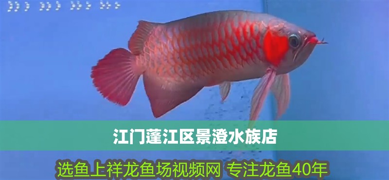 江門蓬江區景澄水族店