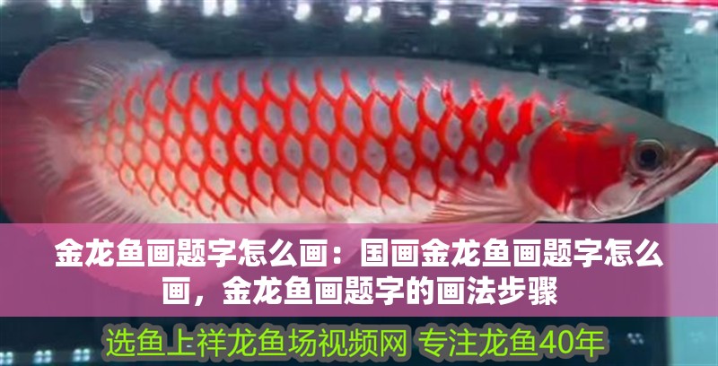 金龍魚畫題字怎么畫：國畫金龍魚畫題字怎么畫，金龍魚畫題字的畫法步驟