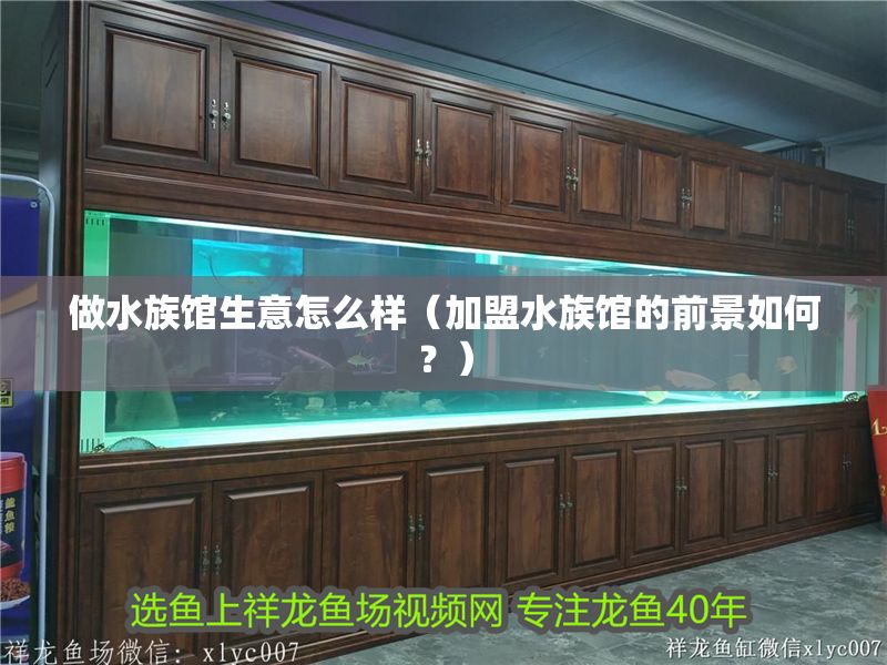 做水族館生意怎么樣（加盟水族館的前景如何？）