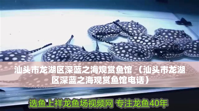汕頭市龍湖區深藍之海觀賞魚館 （汕頭市龍湖區深藍之海觀賞魚館電話）