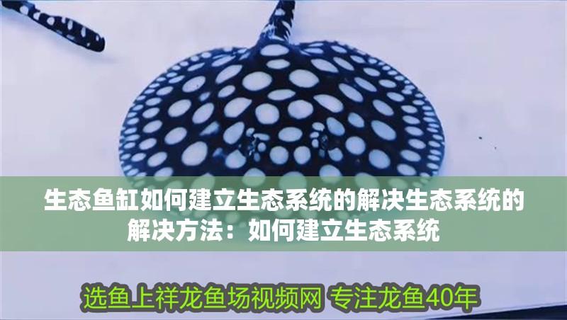 生態魚缸如何建立生態系統的解決生態系統的解決方法：如何建立生態系統 生態魚缸如何建立生態系統的解決生態系統的解決方法：如何建立生態系統 魚缸百科