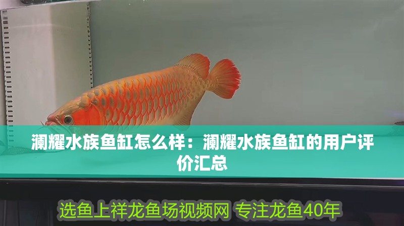 瀾耀水族魚缸怎么樣：瀾耀水族魚缸的用戶評價匯總