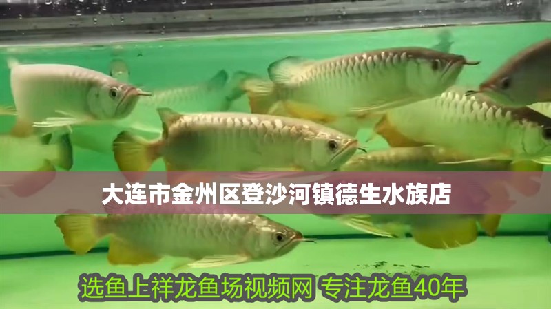 魚缸過濾器選購指南:自制魚缸過濾器魚缸上置過濾器對于養魚愛好者的必備知識 大連市金州區登沙河鎮德生水族店 全國水族館企業名錄 大連市金州區登沙河鎮德生水族店 大連市金州區登沙河鎮德生水族店 全國水族館企業名錄