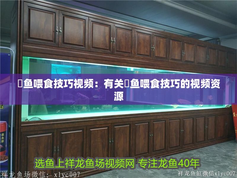 魟魚喂食技巧視頻：有關(guān)魟魚喂食技巧的視頻資源 魟魚喂食技巧視頻：有關(guān)魟魚喂食技巧的視頻資源 魟魚百科 第2張