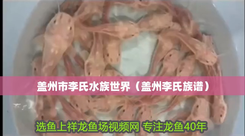 蓋州市李氏水族世界（蓋州李氏族譜）
