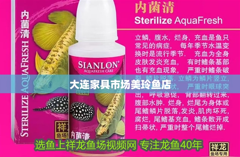 大連家具市場美玲魚店