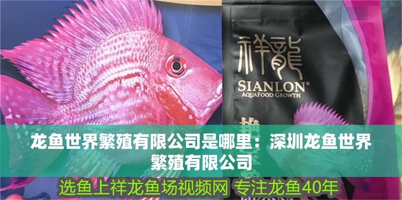龍魚世界繁殖有限公司是哪里：深圳龍魚世界繁殖有限公司