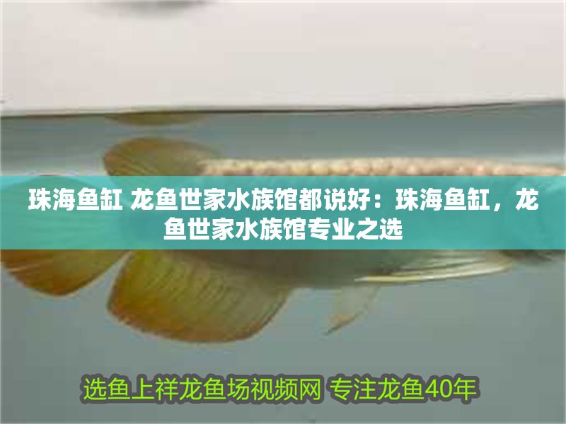珠海魚(yú)缸 龍魚(yú)世家水族館都說(shuō)好：珠海魚(yú)缸，龍魚(yú)世家水族館專業(yè)之選