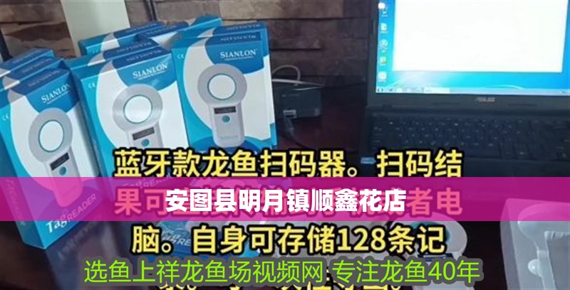 安圖縣明月鎮順鑫花店