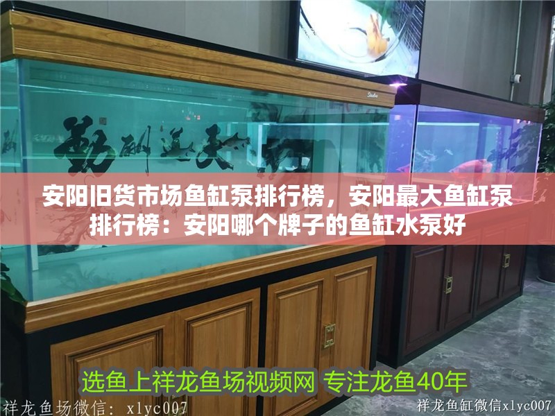 安陽(yáng)舊貨市場(chǎng)魚(yú)缸泵排行榜，安陽(yáng)最大魚(yú)缸泵排行榜：安陽(yáng)哪個(gè)牌子的魚(yú)缸水泵好