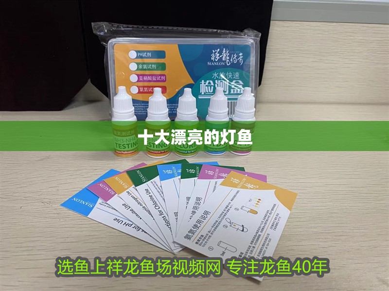 十大漂亮的燈魚