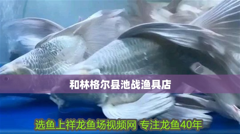 和林格爾縣池戰(zhàn)漁具店