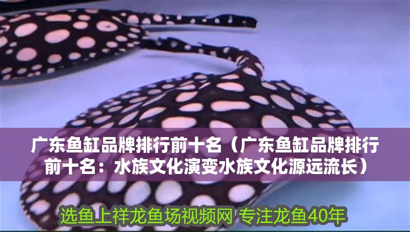 廣東魚缸品牌排行前十名（廣東魚缸品牌排行前十名：水族文化演變水族文化源遠流長）