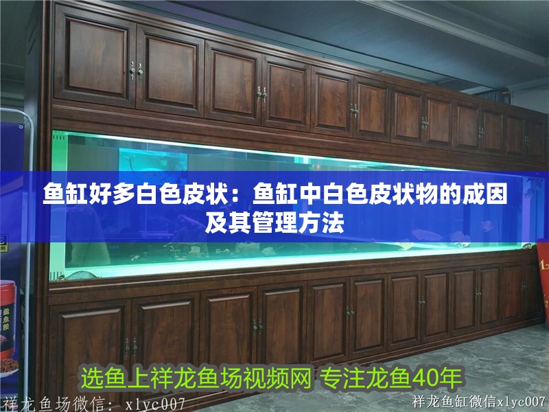 魚(yú)缸好多白色皮狀：魚(yú)缸中白色皮狀物的成因及其管理方法