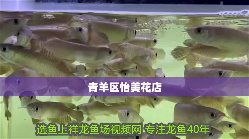 我的虎魚真菌感染了要怎么處理 青羊區(qū)怡美花店 全國(guó)水族館企業(yè)名錄 青羊區(qū)怡美花店 青羊區(qū)怡美花店 全國(guó)水族館企業(yè)名錄