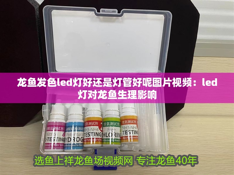 龍魚發色led燈好還是燈管好呢圖片視頻：led燈對龍魚生理影響
