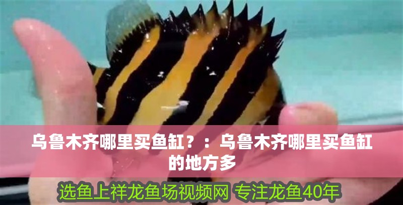 烏魯木齊哪里買魚缸？：烏魯木齊哪里買魚缸的地方多