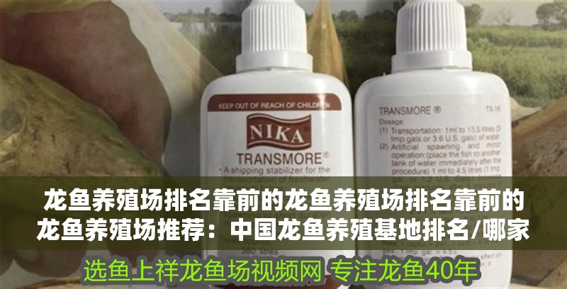 龍魚養殖場排名靠前的龍魚養殖場排名靠前的龍魚養殖場推薦：中國龍魚養殖基地排名/哪家好 龍魚養殖場排名靠前的龍魚養殖場排名靠前的龍魚養殖場推薦：中國龍魚養殖基地排名/哪家好 龍魚百科