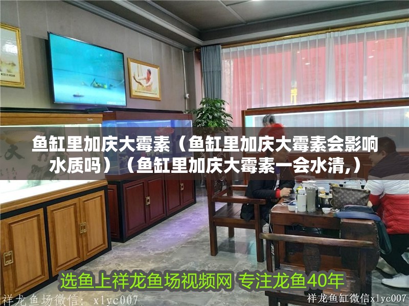 魚缸里加慶大霉素（魚缸里加慶大霉素會影響水質嗎）（魚缸里加慶大霉素一會水清,）