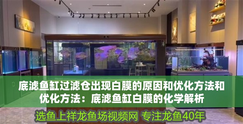 底濾魚缸過濾倉出現白膜的原因和優化方法和優化方法：底濾魚缸白膜的化學解析