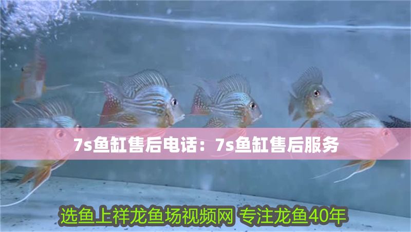 7s魚缸售后電話：7s魚缸售后服務