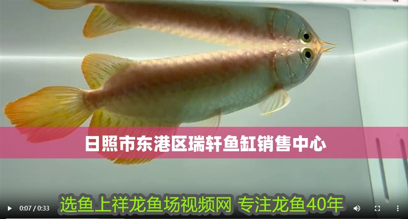 日照市東港區(qū)瑞軒魚缸銷售中心