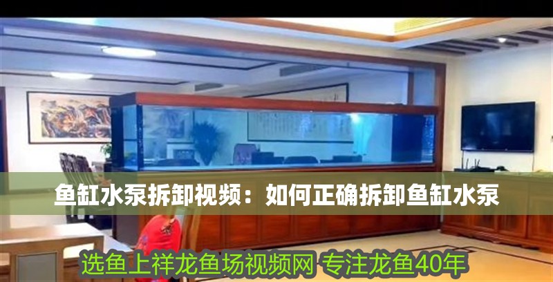 魚缸水泵拆卸視頻：如何正確拆卸魚缸水泵
