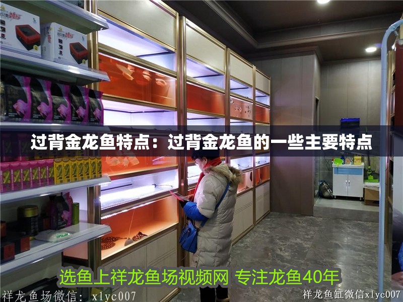 過背金龍魚特點(diǎn)：過背金龍魚的一些主要特點(diǎn)