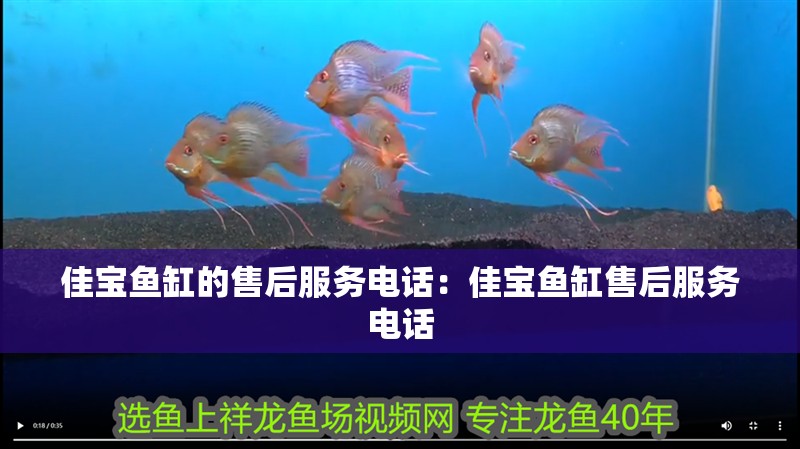 佳寶魚缸的售后服務電話：佳寶魚缸售后服務電話