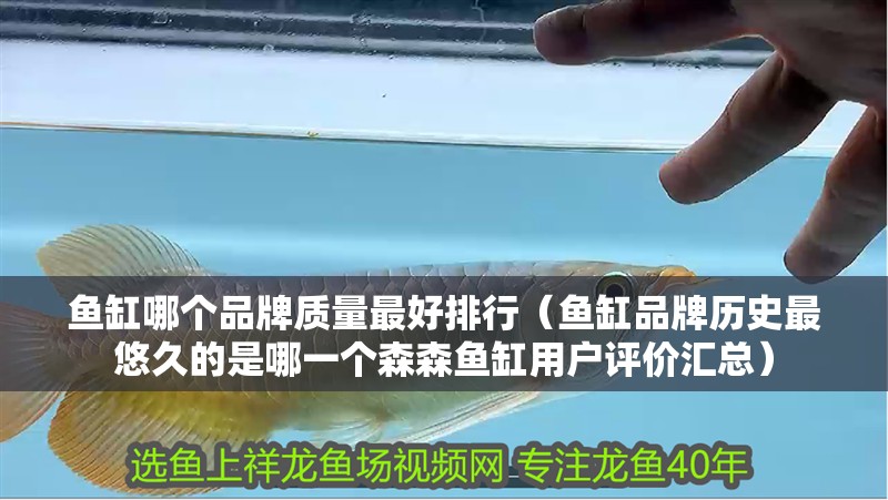 魚缸哪個品牌質量最好排行（魚缸品牌歷史最悠久的是哪一個森森魚缸用戶評價匯總）