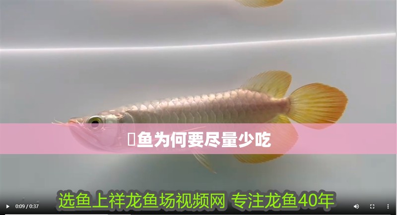 鳡魚為何要盡量少吃