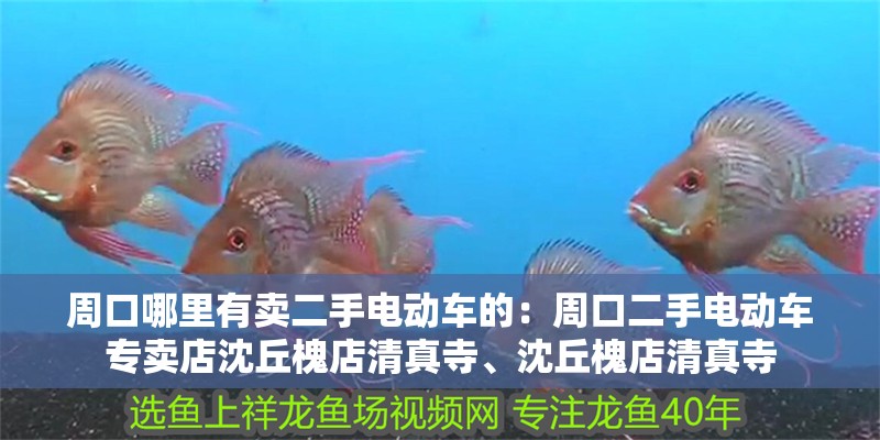 <strong><mark>周口</mark></strong>哪里有賣二手電動車的：<strong><mark>周口</mark></strong>二手電動車專賣店沈丘槐店清真寺、沈丘槐店清真寺