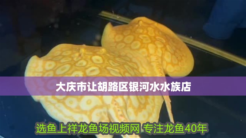 大慶市讓胡路區銀河水水族店