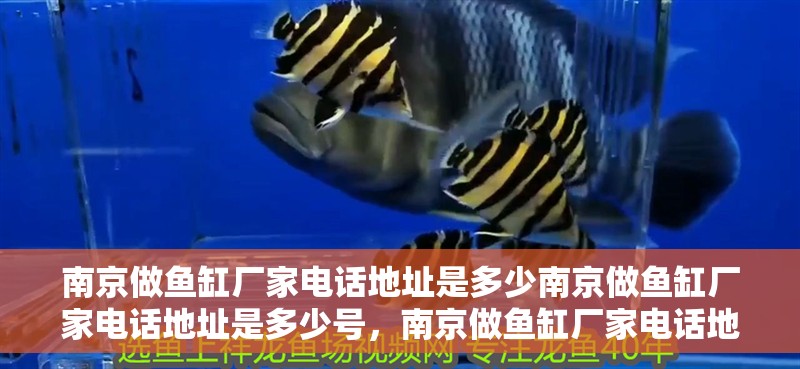 南京做魚缸廠家電話地址是多少南京做魚缸廠家電話地址是多少號，南京做魚缸廠家電話地址是多少