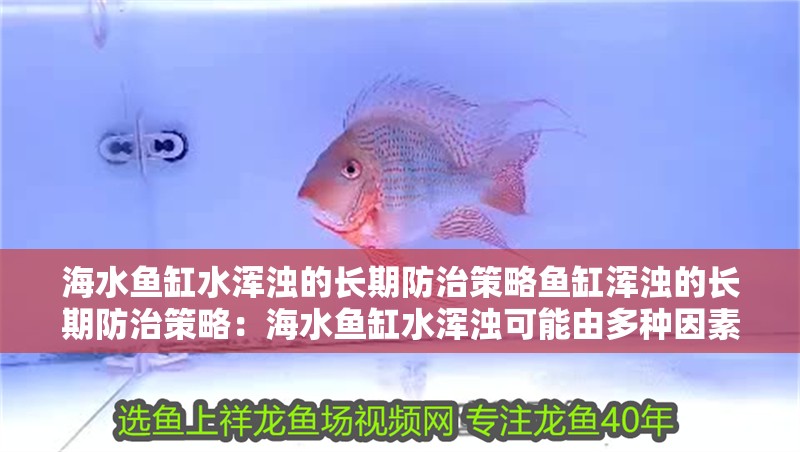 海水魚缸水渾濁的長期防治策略魚缸渾濁的長期防治策略：海水魚缸水渾濁可能由多種因素導(dǎo)致