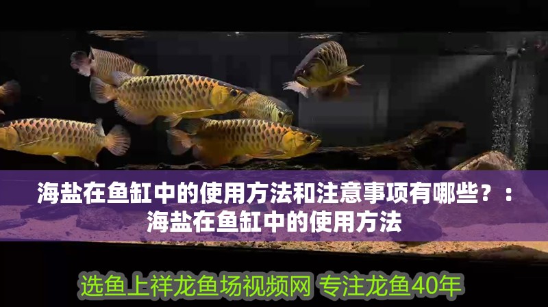 海鹽在魚缸中的使用方法和注意事項有哪些？：海鹽在魚缸中的使用方法