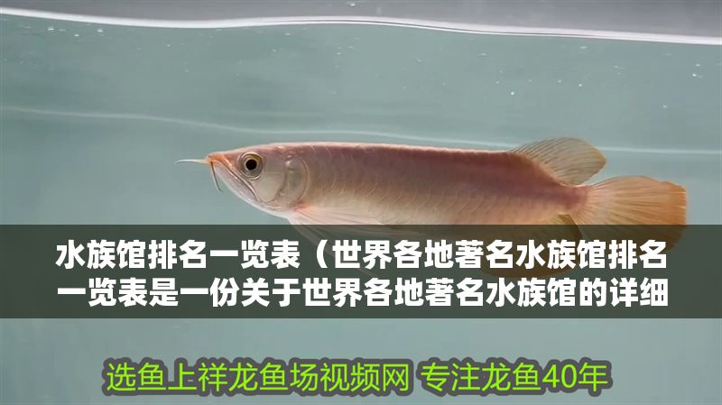 水族館排名一覽表（世界各地著名水族館排名一覽表是一份關于世界各地著名水族館的詳細列表）
