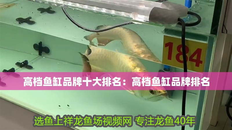 高檔魚缸品牌十大排名：高檔魚缸品牌排名