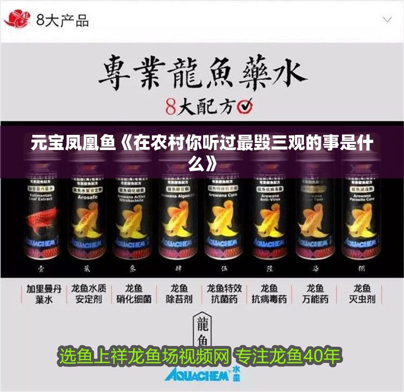元寶鳳凰魚《在農(nóng)村你聽過最毀三觀的事是什么》