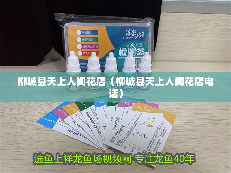 柳城縣天上人間花店（柳城縣天上人間花店電話）