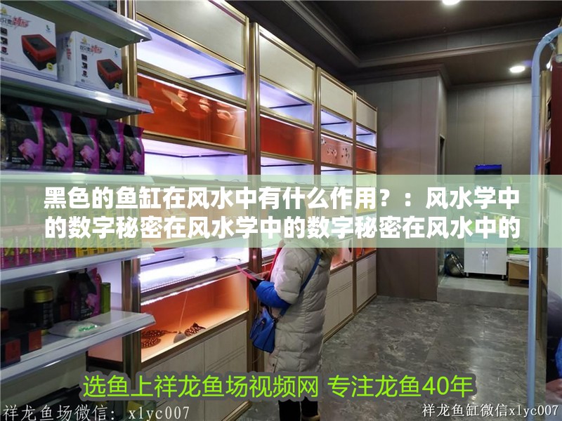 黑色的魚缸在風水中有什么作用？：風水學中的數字秘密在風水學中的數字秘密在風水中的應用