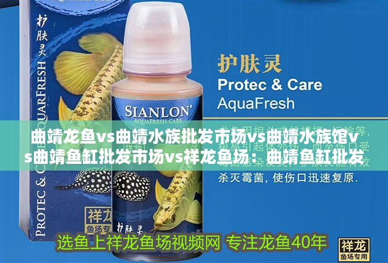 曲靖龍魚vs曲靖水族批發(fā)市場(chǎng)vs曲靖水族館vs曲靖魚缸批發(fā)市場(chǎng)vs祥龍魚場(chǎng):曲靖魚缸批發(fā)市場(chǎng) 祥龍魚場(chǎng)各市分站 第2張 曲靖龍魚vs曲靖水族批發(fā)市場(chǎng)vs曲靖水族館vs曲靖魚缸批發(fā)市場(chǎng)vs祥龍魚場(chǎng):曲靖魚缸批發(fā)市場(chǎng) 曲靖龍魚vs曲靖水族批發(fā)市場(chǎng)vs曲靖水族館vs曲靖魚缸批發(fā)市場(chǎng)vs祥龍魚場(chǎng):曲靖魚缸批發(fā)市場(chǎng) 祥龍魚場(chǎng)各市分站 第2張