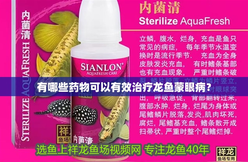 有哪些藥物可以有效治療龍魚蒙眼?。? title=