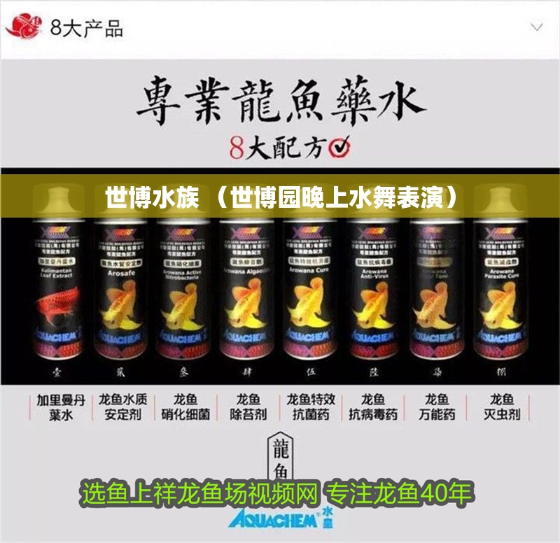 世博水族 （世博園晚上水舞表演）