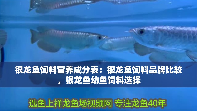 銀龍魚飼料營(yíng)養(yǎng)成分表：銀龍魚飼料品牌比較，銀龍魚幼魚飼料選擇