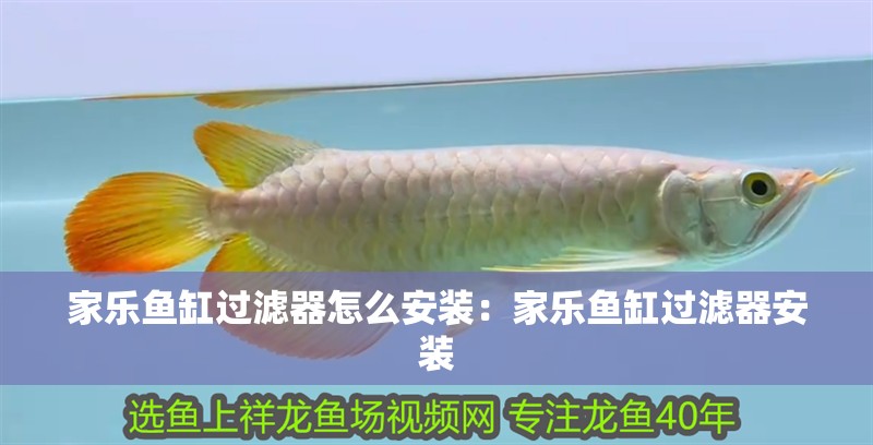 家樂魚缸過濾器怎么安裝：家樂魚缸過濾器安裝
