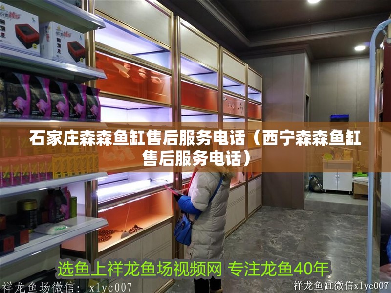 石家莊森森魚缸售后服務電話（西寧森森魚缸售后服務電話）