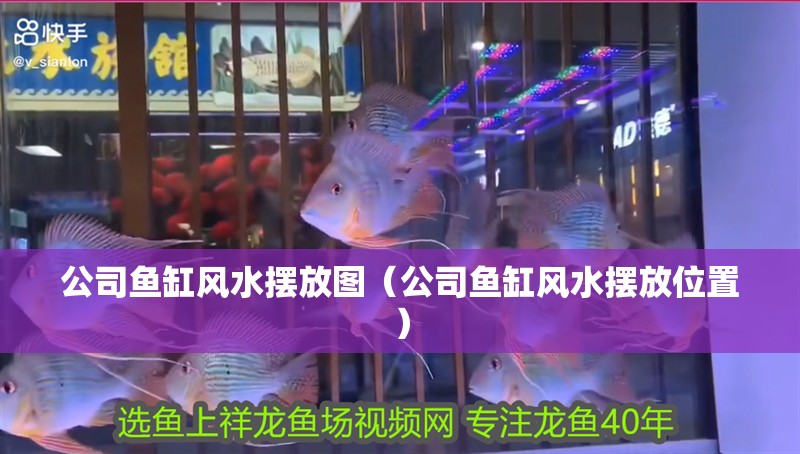 公司魚缸風水擺放圖（公司魚缸風水擺放位置）